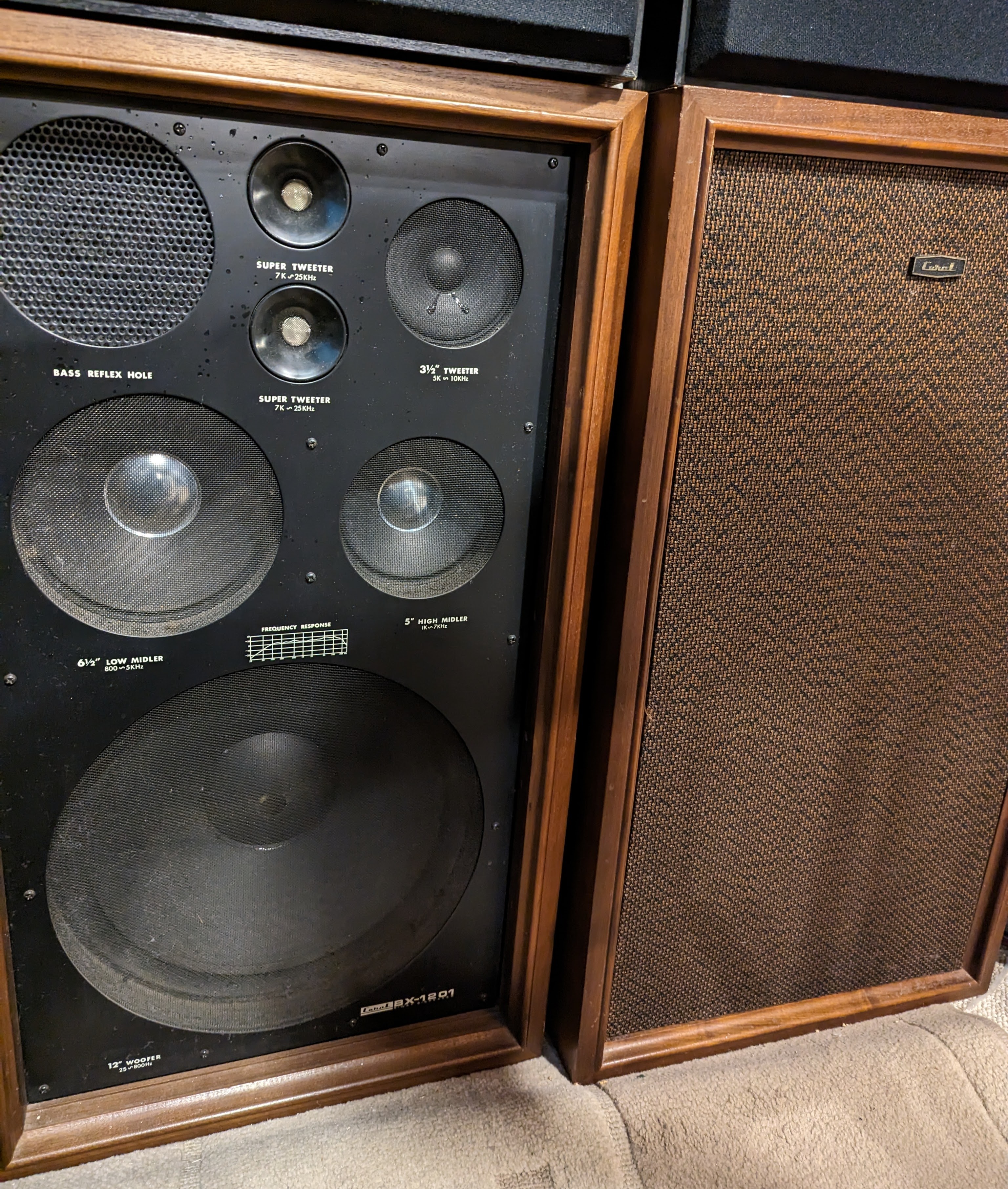 PXL_20221113_204537930